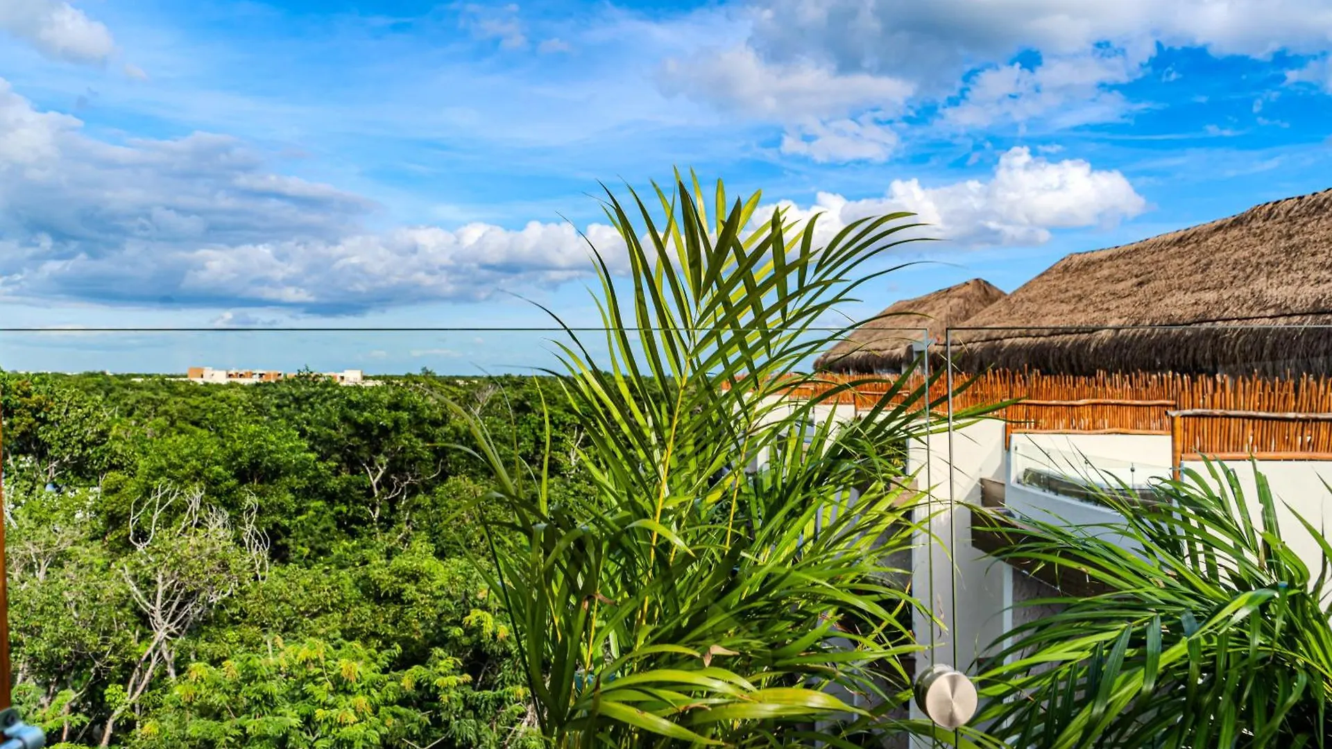 Tulum Tranquility Studio
