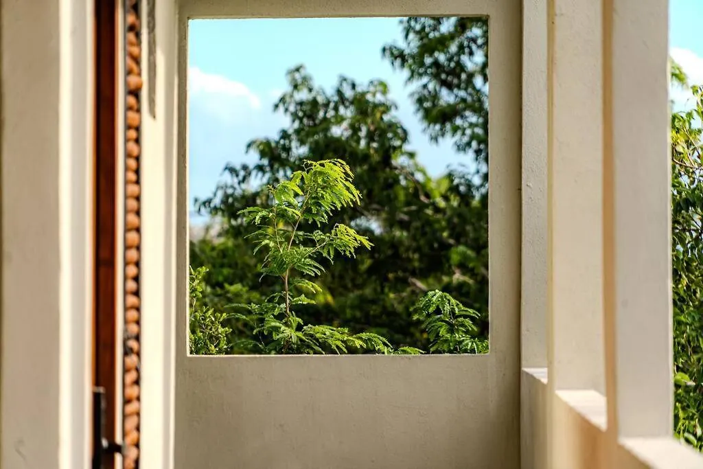 Tulum Tranquility Studio Mexico