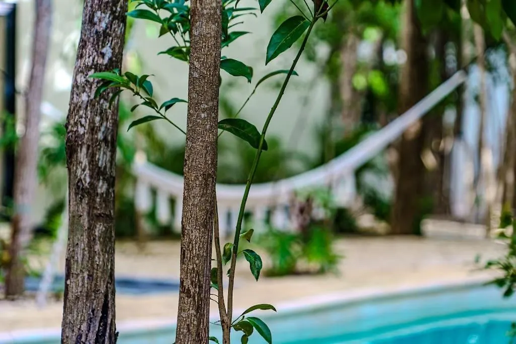 Tulum Tranquility Studio Apartment