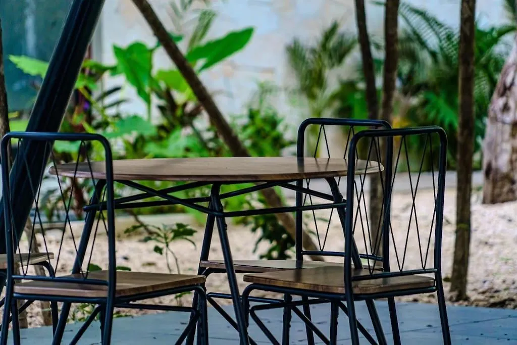 Tulum Tranquility Studio